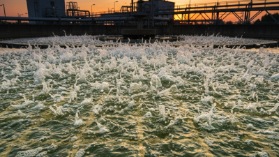 2026 Best Aeration Process in Wastewater Treatment Solutions?