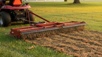 How to Choose the Best Riding Mower Rake for Your Lawn?