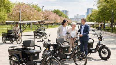 How to Choose the Best Electric Passenger Tricycle for You?