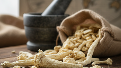 What is Сухой Хрен and How to Source It Globally?