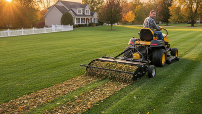 China Best Riding Mower Rake for Efficient Lawn Care Solutions?