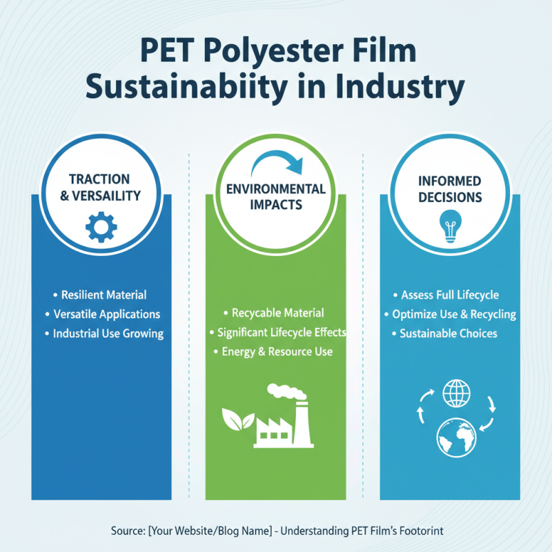 2026 How to Use Pet Polyester Film for Various Applications?