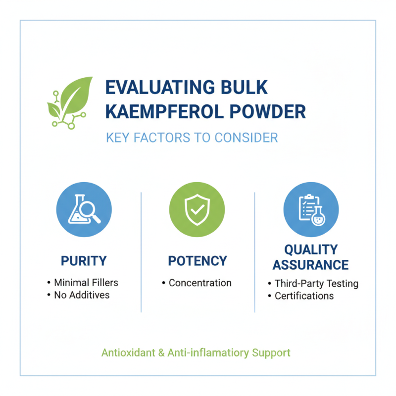 The Best Bulk Kaempferol Powder Options for Health Benefits?