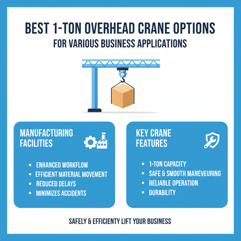 Best 1 Ton Overhead Crane Options for Your Business Needs?