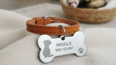 How to Choose the Perfect Ferret Name Tag for Your Pet?