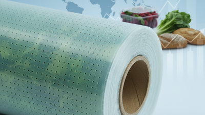 Top Perforated Pe Film Solutions for Global Buyers in 2026?
