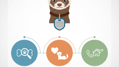 Top 10 Ferret Name Tags Buyers Should Consider Today?