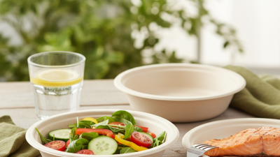 Top Benefits of Using Disposable Bagasse Bowls for Eco Friendly Dining?