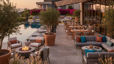 Best Hotel Outdoor Seating Options for Your Business Needs?