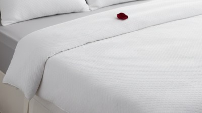 Top 10 Bed Bug Mattress Cover Options for Ultimate Protection?