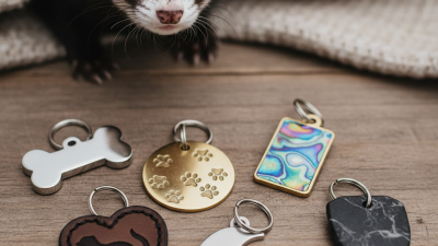 Top Ferret Name Tag Ideas for Your Pet Companion?
