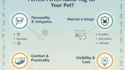 2026 How to Choose the Perfect Ferret Name Tag for Your Pet?