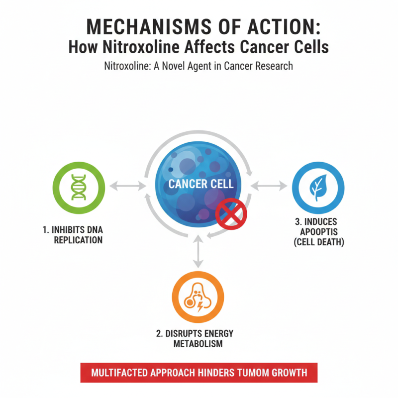Understanding the Mechanism of Nitroxoline in Cancer Treatment?