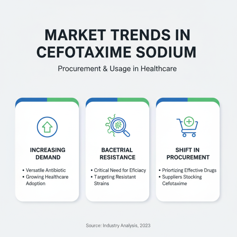 What You Should Know About Cefotaxime Sodium Procurement?