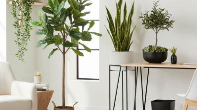 The Best Fake Plants for Every Home and Office Space?