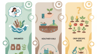 Is Seaweed Fertilizer the Best Choice for Sustainable Farming?
