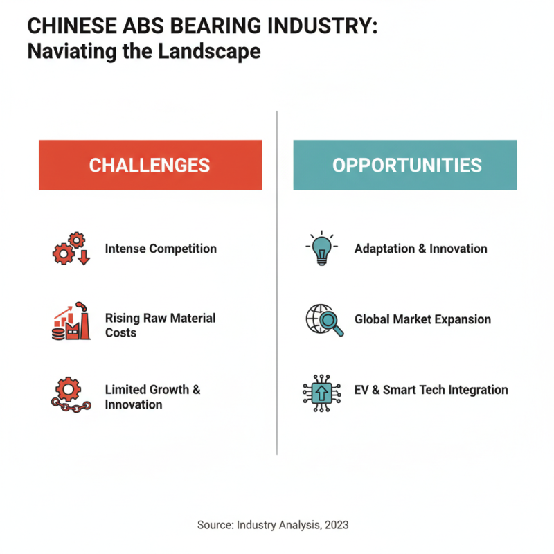 China Top Abs Bearing Manufacturers and Their Impact on the Industry?