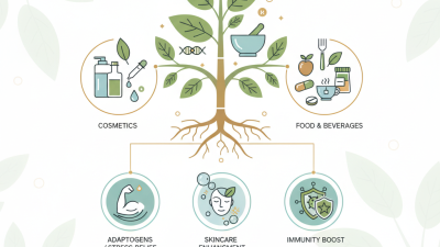 2026 Best Plant Extracts for Global Buyers to Look For?