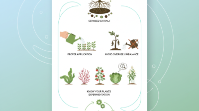 How to Use Seaweed Fertilizer for Maximum Plant Growth?