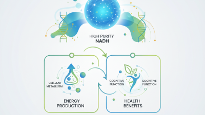 What is High Purity NADH Bulk Powder and Its Benefits?