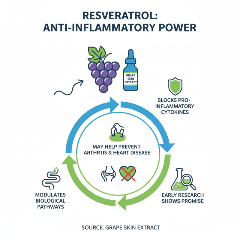 Top 10 Benefits of Grape Skin Extract Resveratrol You Need to Know?