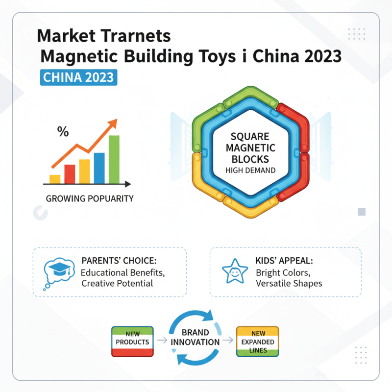 China Top 10 Square Magnetic Blocks You Need to Know?