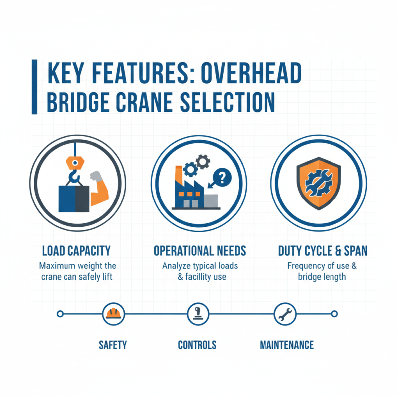 Best Overhead Bridge Crane Options for Your Global Procurement Needs?
