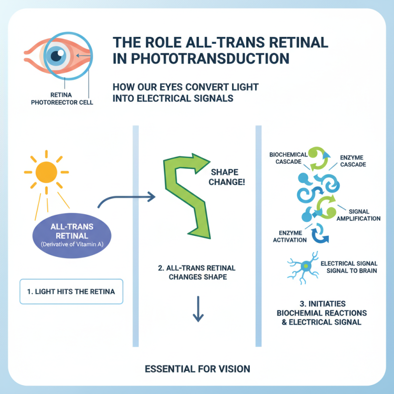 Understanding All Trans Retinal and Its Role in Vision and Health?