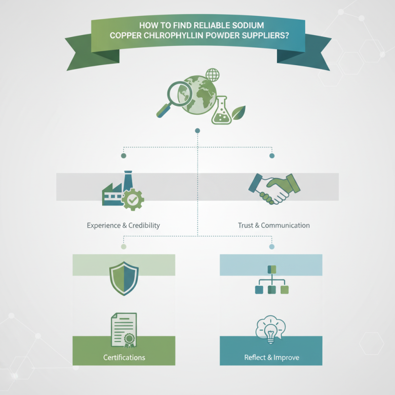 How to Find Reliable China Sodium Copper Chlorophyllin Powder Suppliers?