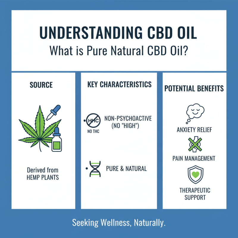 2026 Top Pure Natural CBD Oil Benefits for Global Buyers?