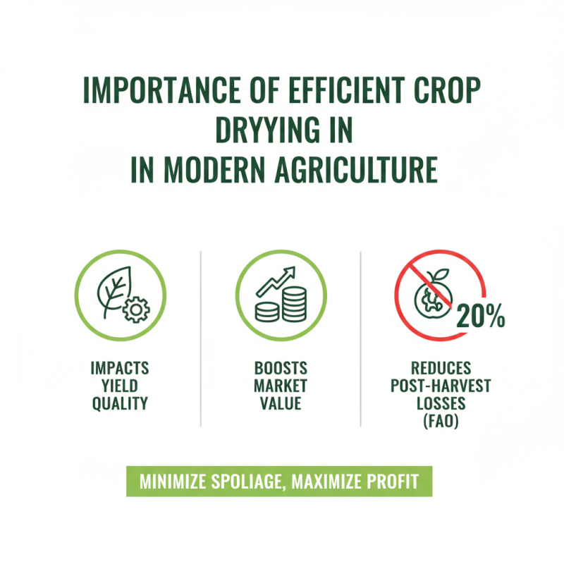 Best Crop Dryer Solutions for Efficient Agricultural Drying?