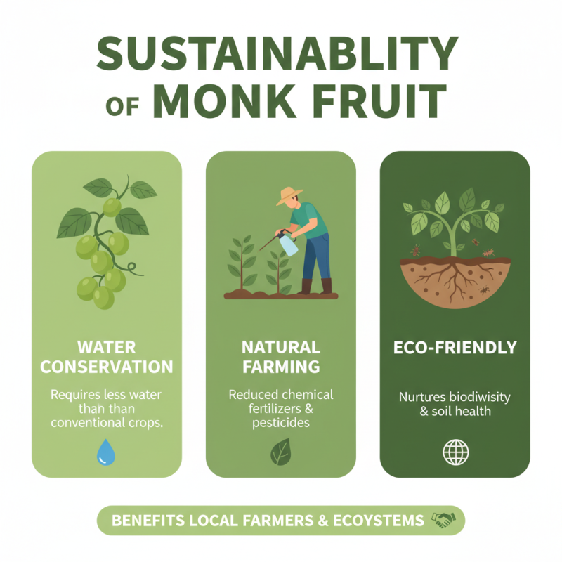 Top Benefits of Powdered Sugar Monk Fruit for Global Buyers?