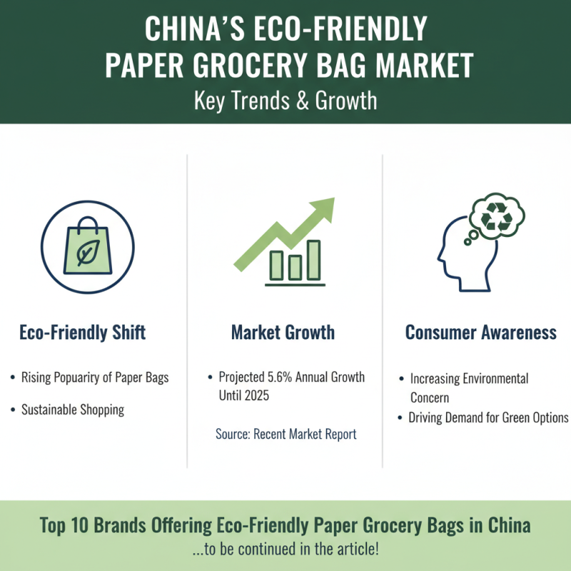 Top 10 Paper Grocery Bags in China for Eco Friendly Shopping Solutions?