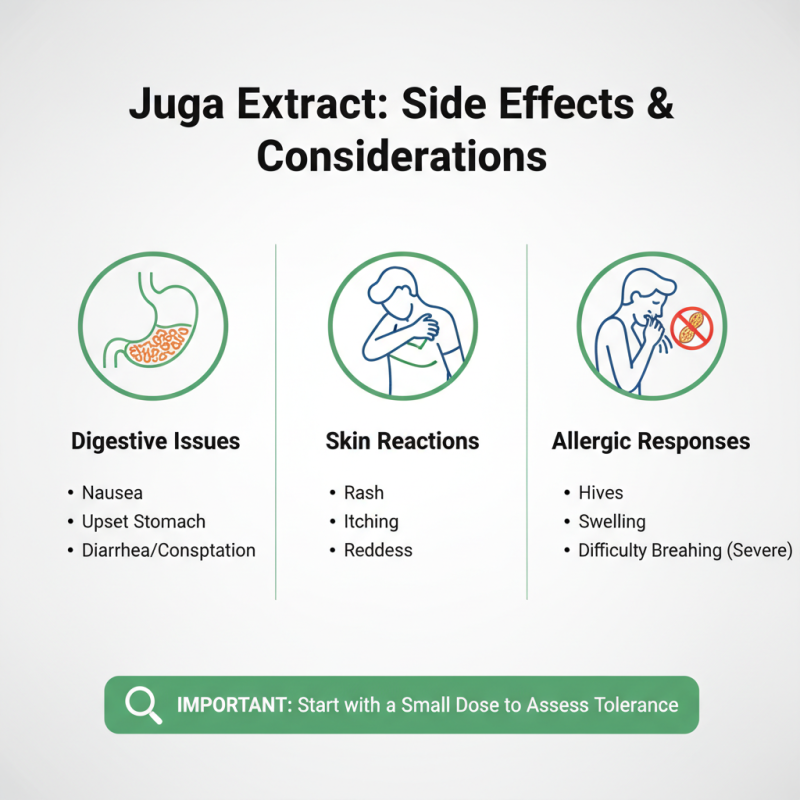 What is Juga Extract and How Does it Benefit Health?