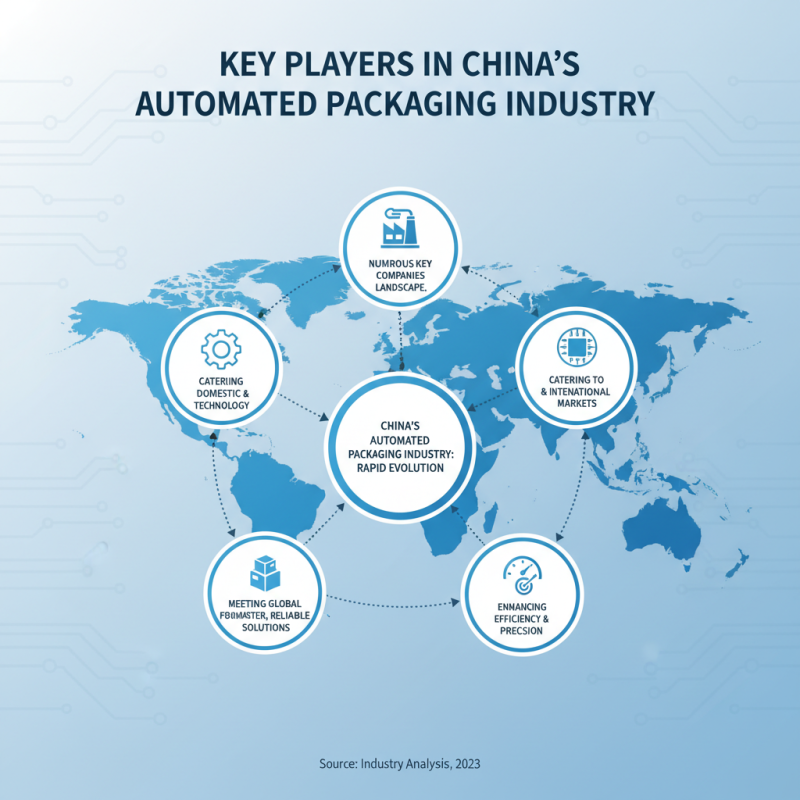 Top Automated Packaging Solutions in China for Global Buyers?