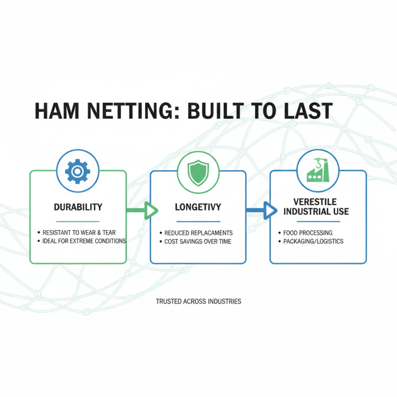 Top 10 Benefits of Using Ham Netting for Your Business?