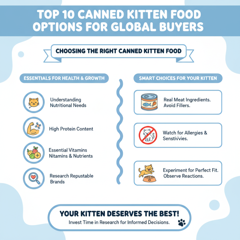 Top 10 Canned Kitten Food Options for Global Buyers?