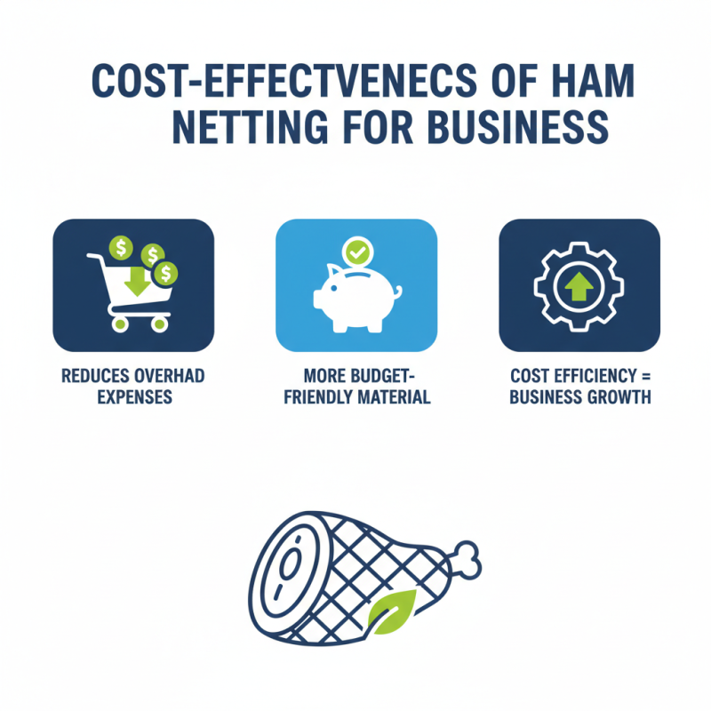 Top 10 Benefits of Using Ham Netting for Your Business?