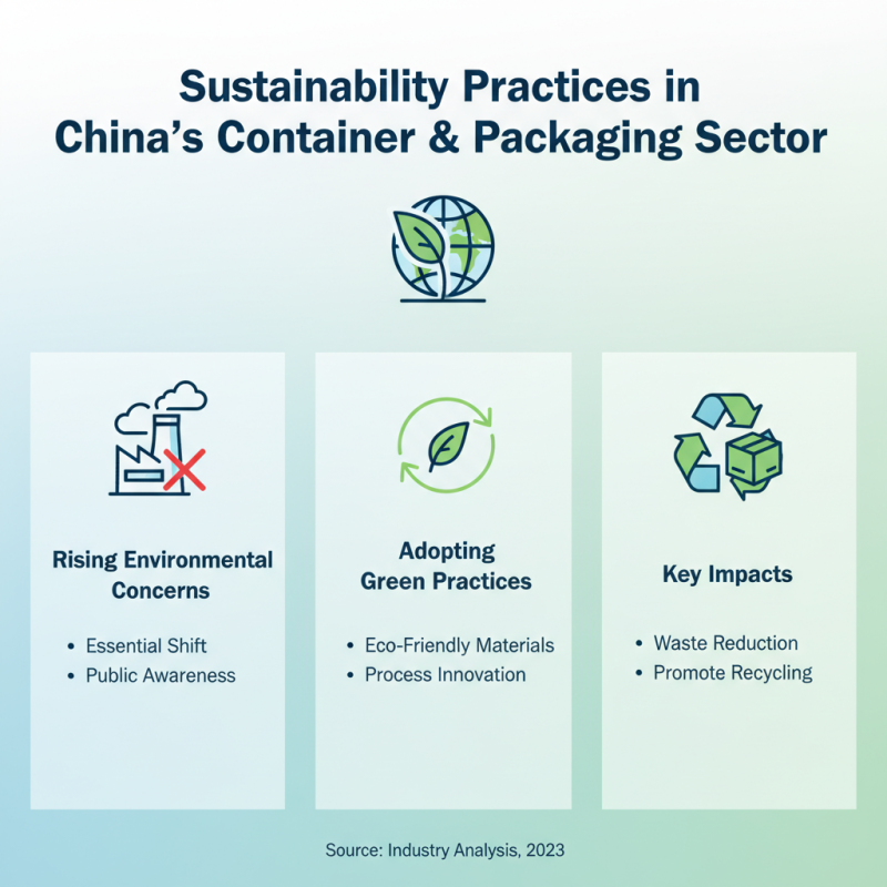 China Top Container and Packaging Supply You Need to Know?