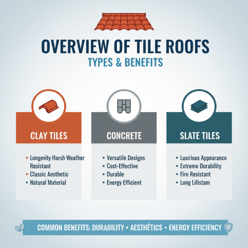 2026 Best Tile Roof Cost Guide for Global Buyers?