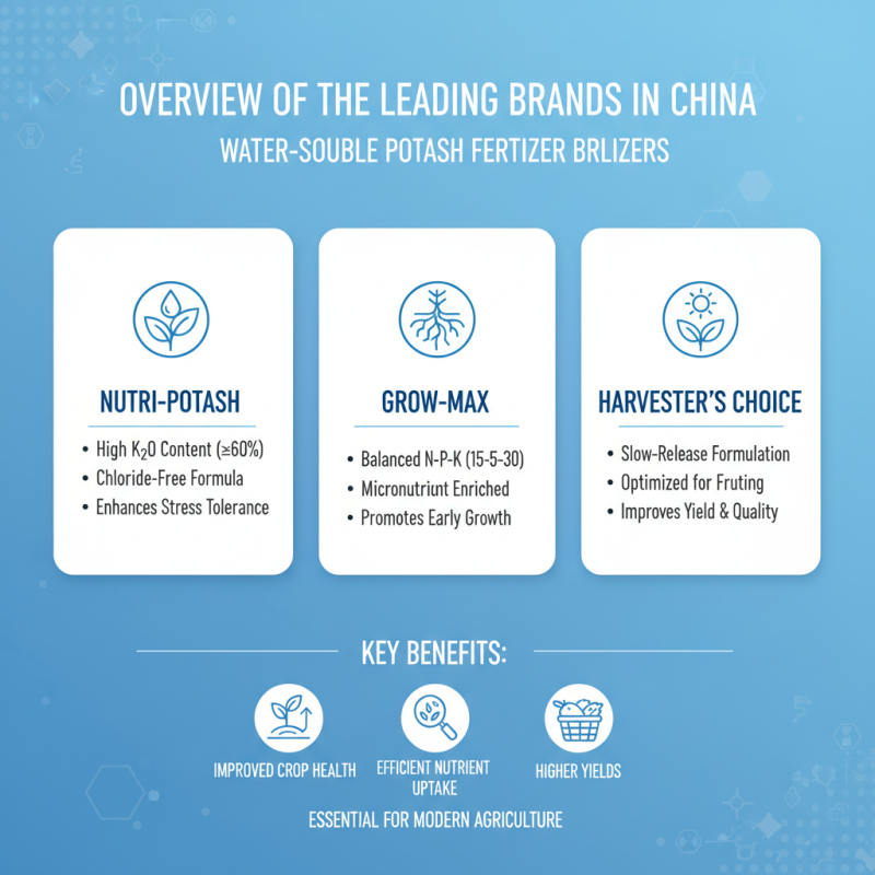 China Top 10 Water Soluble Potash Fertilizer Options to Buy?