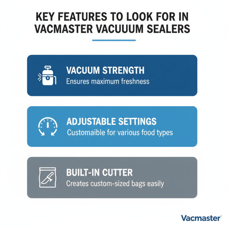 Exploring the Best Vacmaster Vacuum Sealer Options in China Top Rankings?