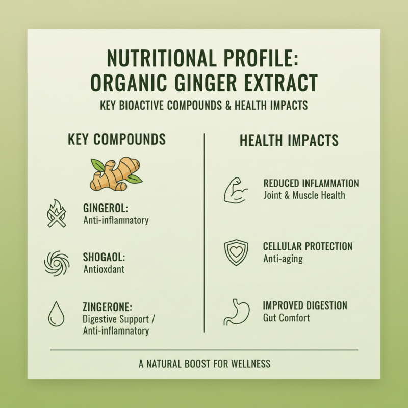 2026 Organic Ginger Extract Benefits and Uses for Global Buyers?