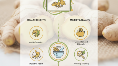 2026 Organic Ginger Extract Benefits and Uses for Global Buyers?