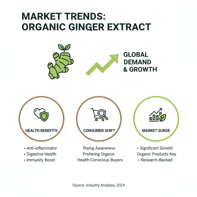 2026 Organic Ginger Extract Benefits and Uses for Global Buyers?