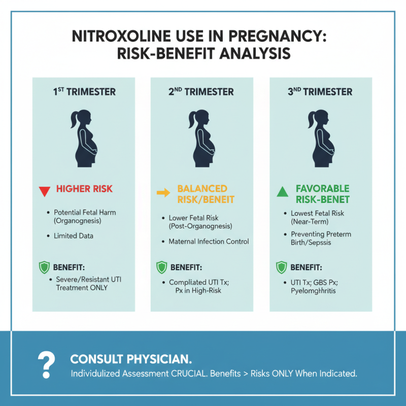 2026 Best Nitroxoline Safety During Pregnancy Insights?