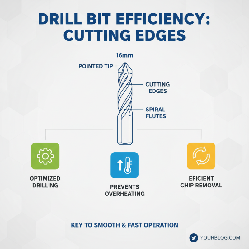 Top 2026 16mm Drill Bit Features Buyers Should Know?
