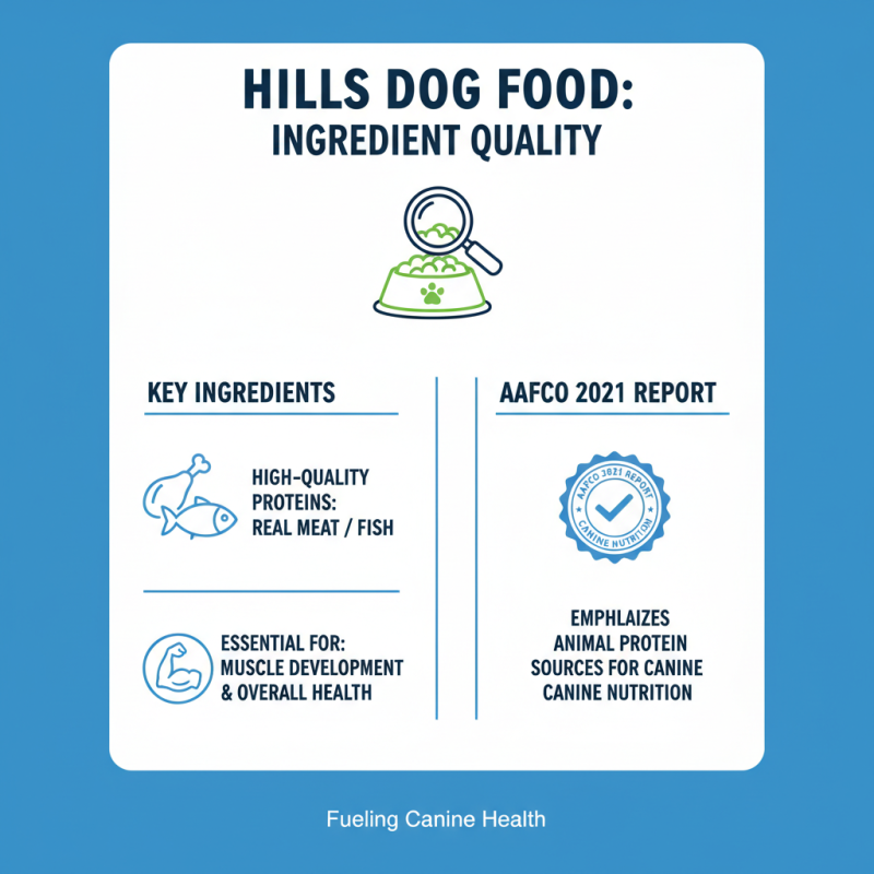 How to Choose the Best Hills Dog Food for Your Pet?