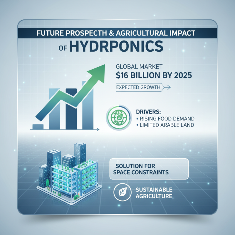 Top 10 DIY Hydroponic Systems for Global Agriculture Insights?