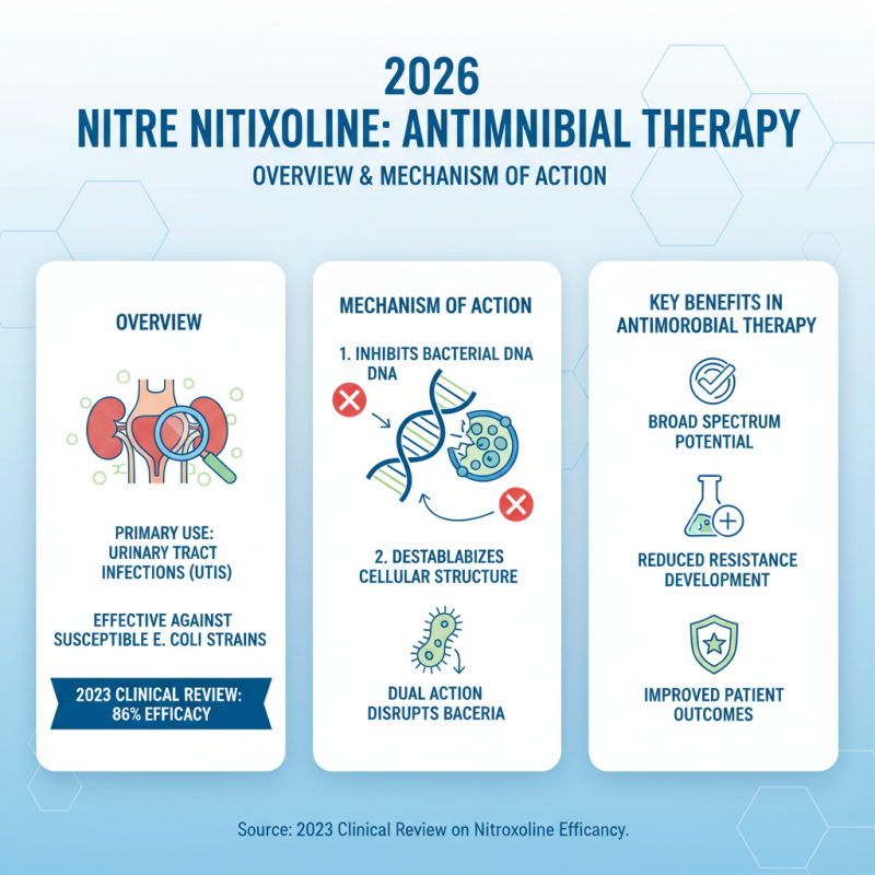 2026 Best Nitroxoline Safety During Pregnancy Insights?
